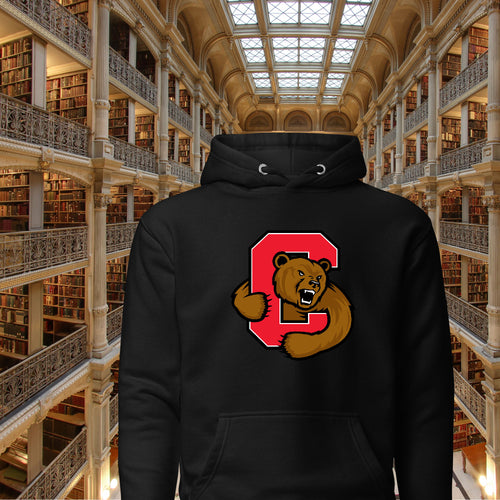 Cornell IVY University Bear Hoodie For Boys and Girls