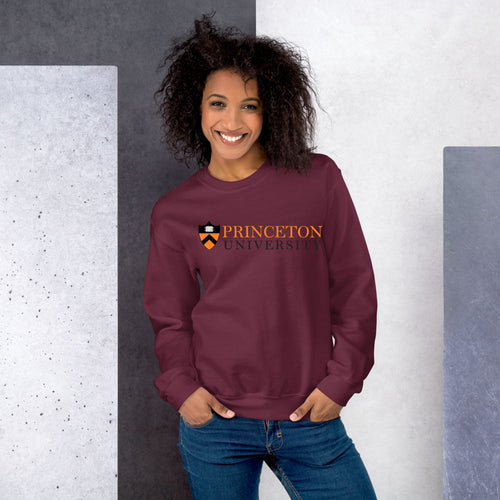 Princeton University IVY Logo Sweatshirt For Men and Women